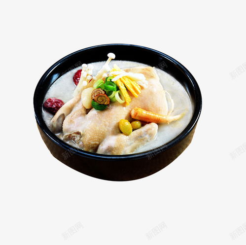 美食設計新焦點 老母雞湯免摳PNG素材，賦能餐飲與電商創意